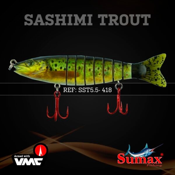 Sashimi Trout - Imagen 13