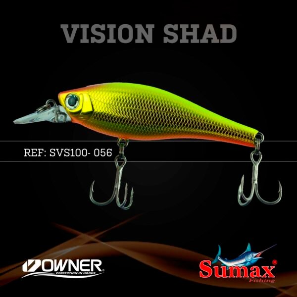 Vision Shad 100 - Imagen 5