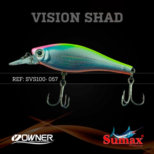 Vision Shad 100 - Imagen 6