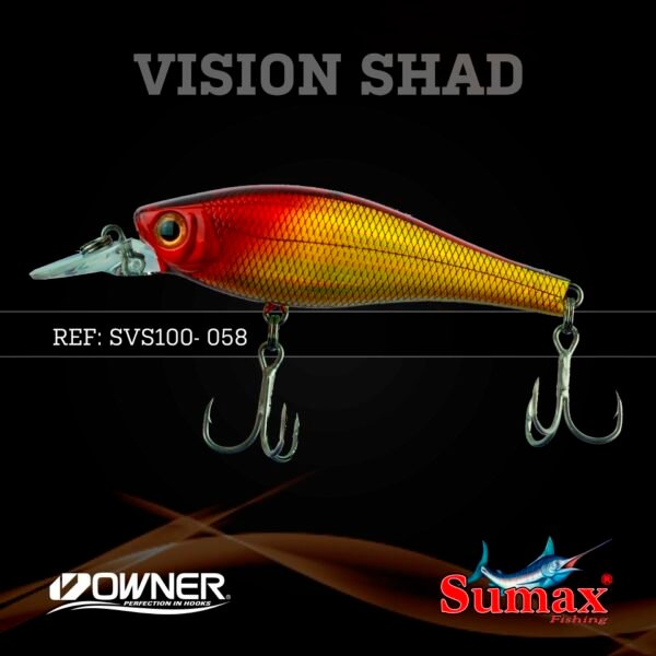 Vision Shad 100 - Imagen 7