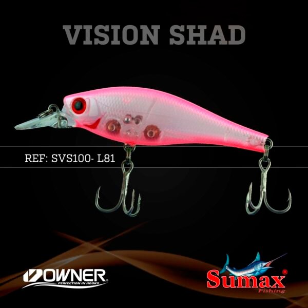 Vision Shad 100 - Imagen 8