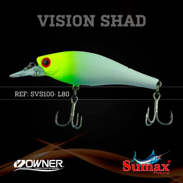 Vision Shad 100 - Imagen 9