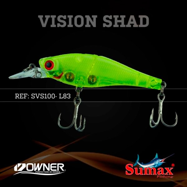 Vision Shad 100 - Imagen 11